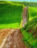 "PRADOS VERDES"